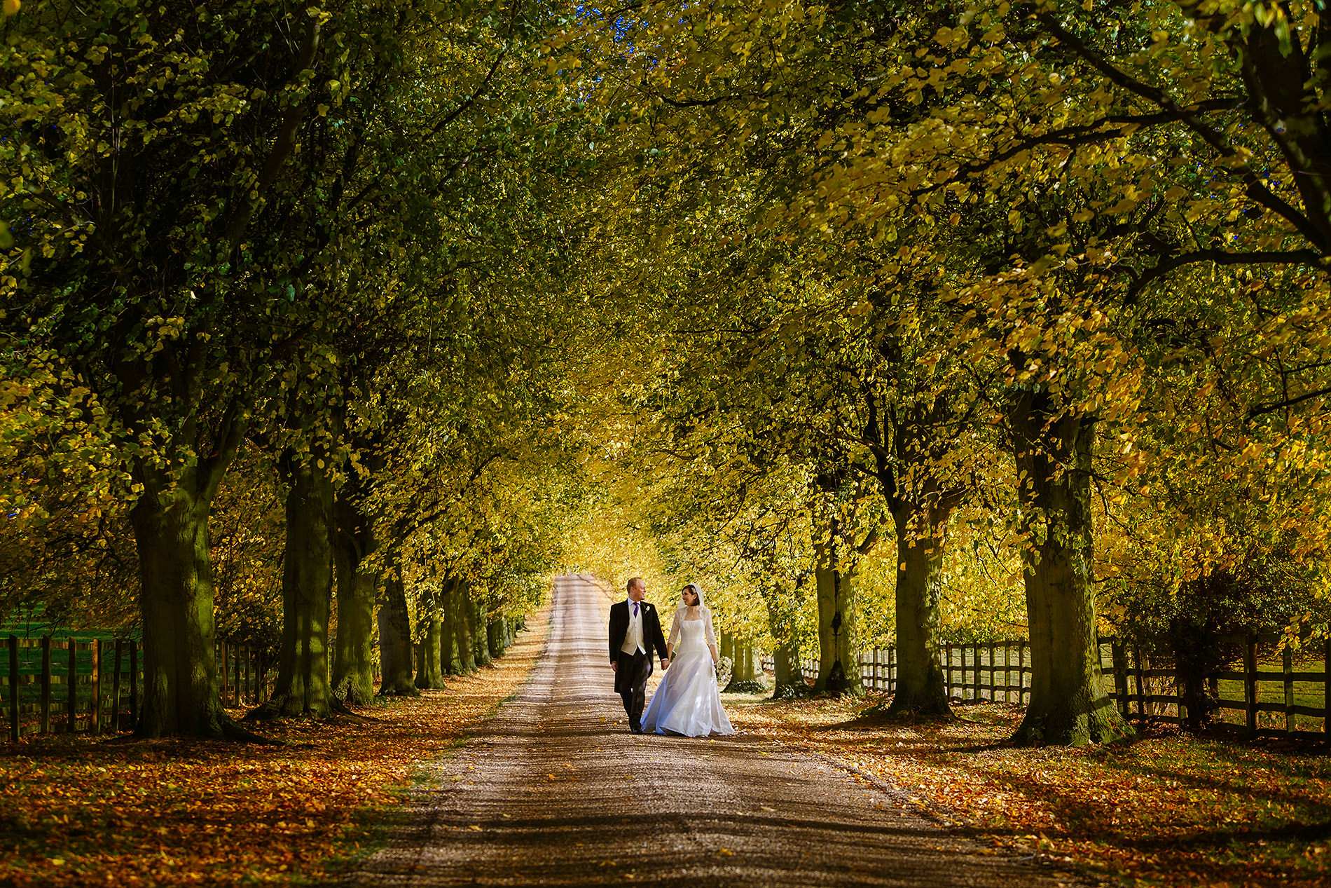 Couple in formal wedding attire walking on a tree-lined path with sunlight filtering through.